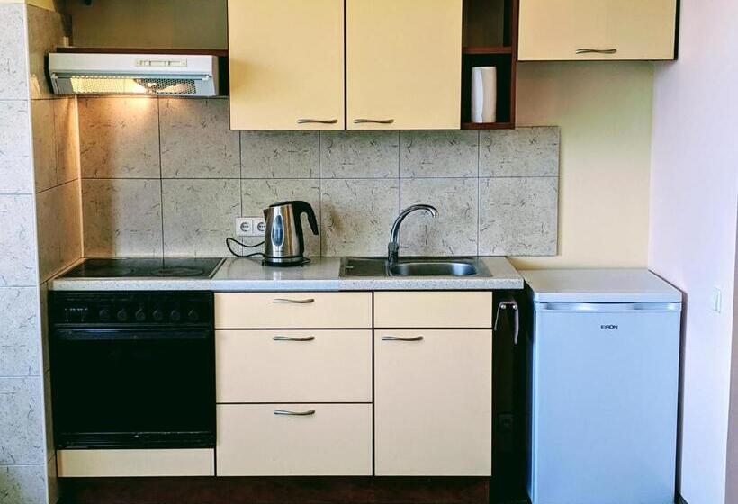 استودیوی استاندارد, Guest House Kamara