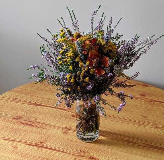 استودیوی استاندارد, Guest House Kamara