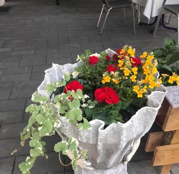 스탠다드 룸 공동 욕실, Pensionlien