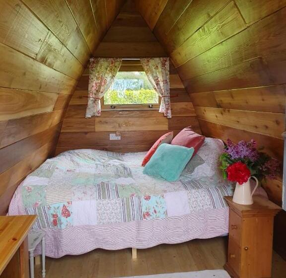 חדר סטנדרט נוף לאגם, Glasson Glamping Farm