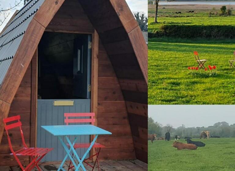 חדר סטנדרט נוף לאגם, Glasson Glamping Farm
