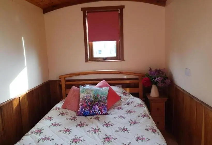 ファミリールーム, Glasson Glamping Farm