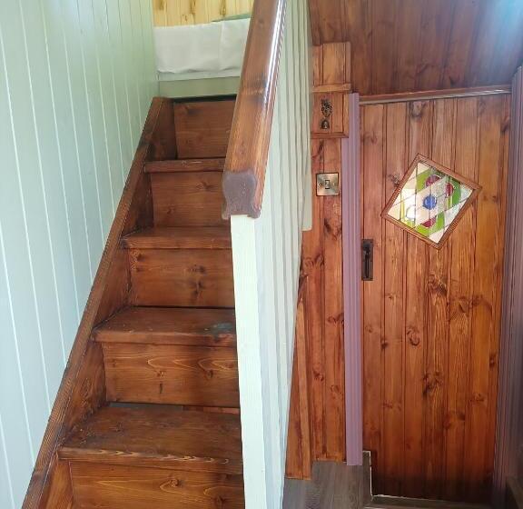 סטודיו סטנדרטי נוף לגינה, Glasson Glamping Farm