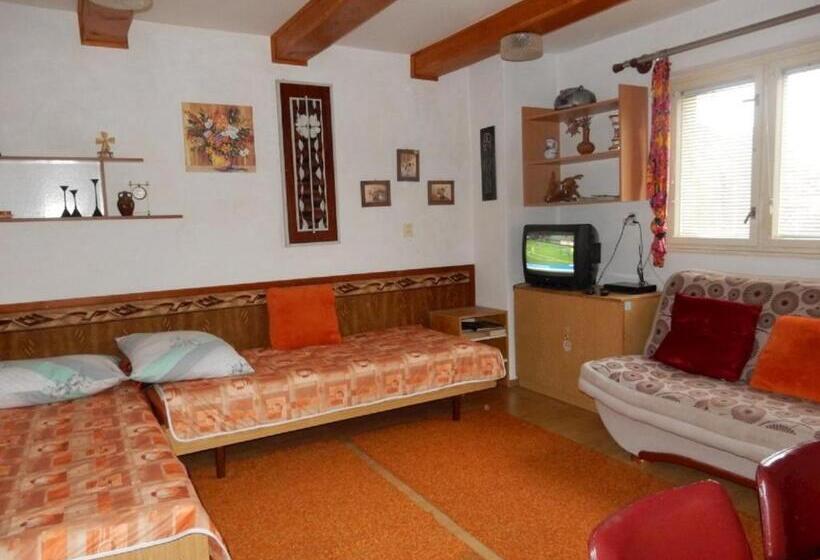 メゾネットスイート, Penzión Bajo