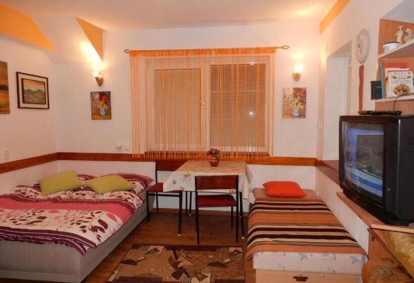 スタンダードスタジオ, Penzión Bajo