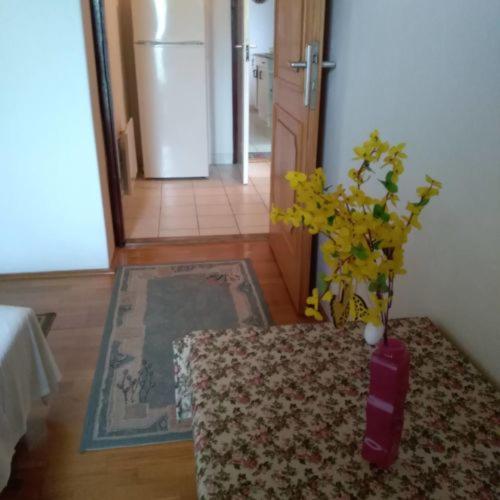 침실 1개 전망 아파트, Tóth Nyaraló