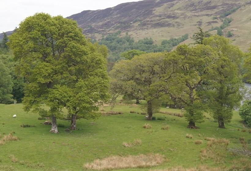 スーペリアールーム, Glengarry Castle