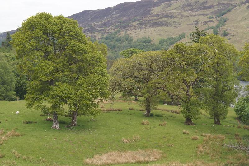 Номер Стандарт, Glengarry Castle