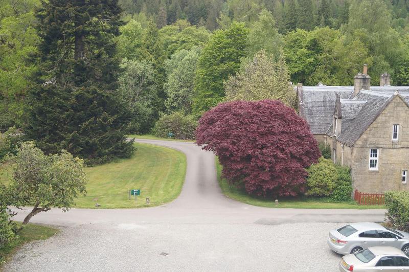 スタンダードルーム, Glengarry Castle