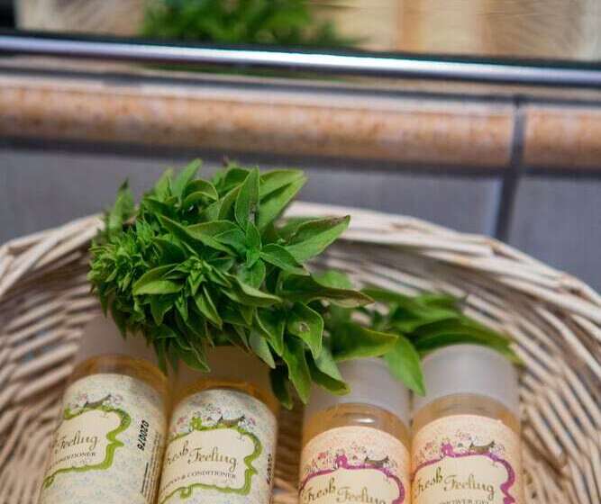 スタンダードシングルルーム, Plaza Beach