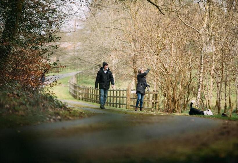 חדר סטנדרט, The Valley Hotel & Carriage Gardens