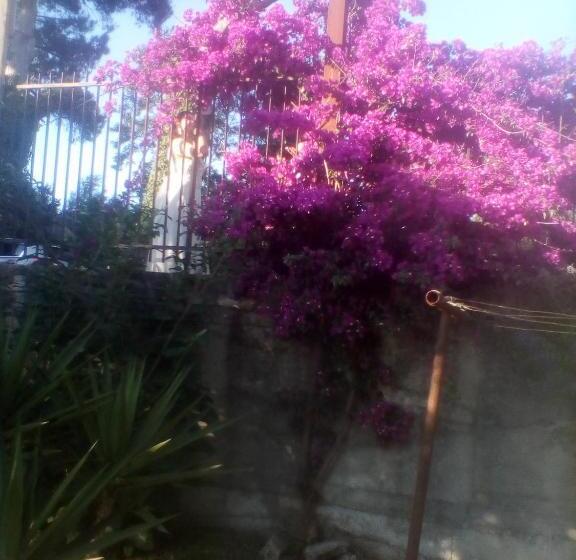 带1个卧室的公寓, Mamena