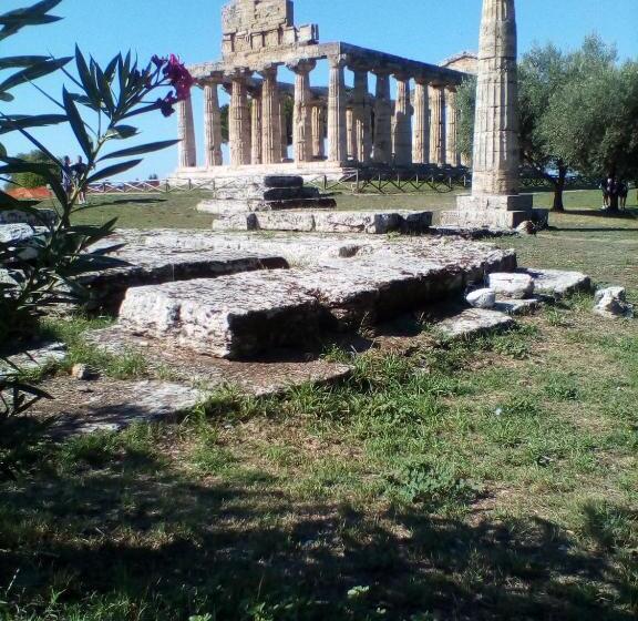 آپارتمان 1 خوابه, Mamena