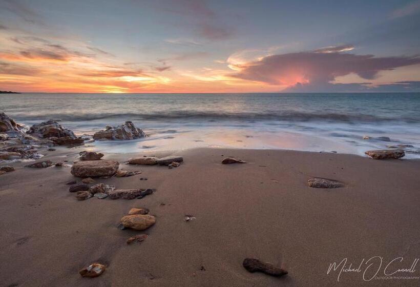 Suite King Bed, The Tropical Sanctuary