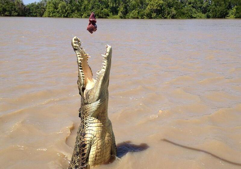 Suite King Bed, The Tropical Sanctuary