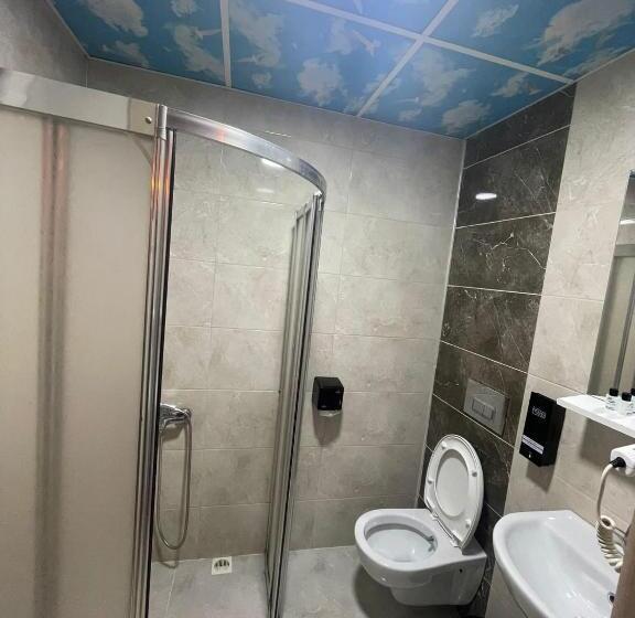 스탠다드 룸 킹사이즈 침대, Valley Suit Otel