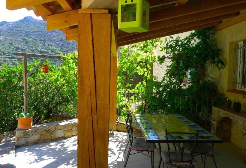 Номер Стандарт, A Chiosella