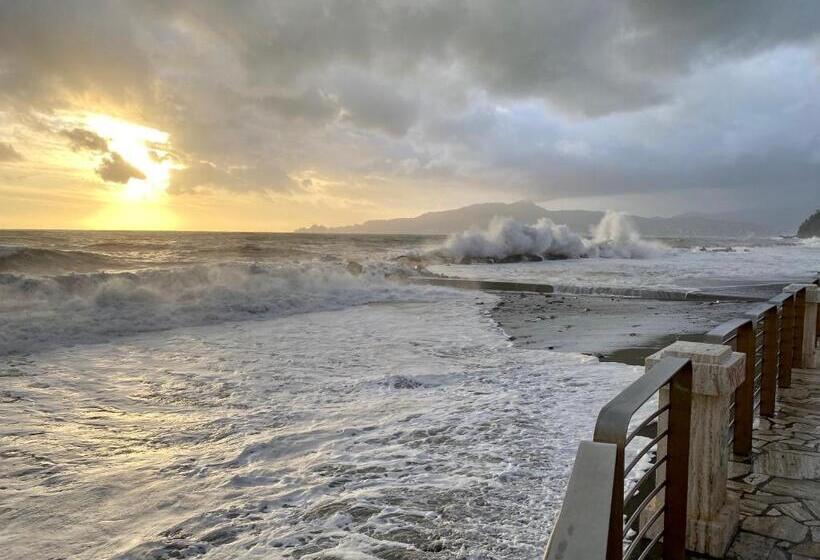 标准单人间, Lungomare Portoturistico