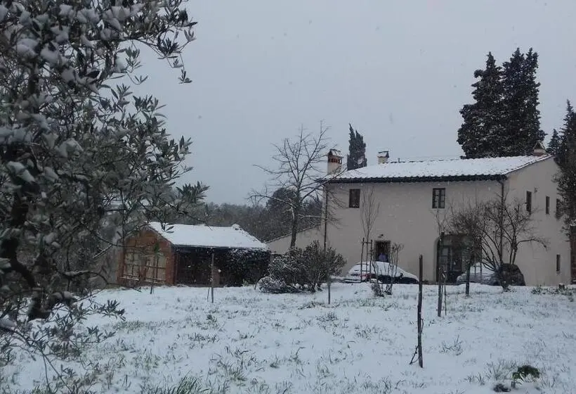 スタンダードルーム, Podere Sanlorenzo