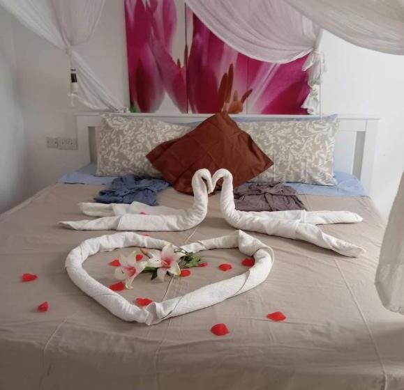 اتاق استاندارد, Corto Maltese B&b