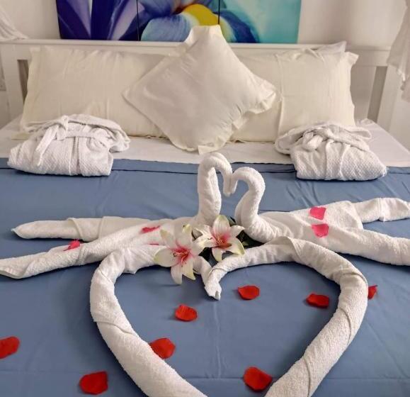 اتاق استاندارد, Corto Maltese B&b