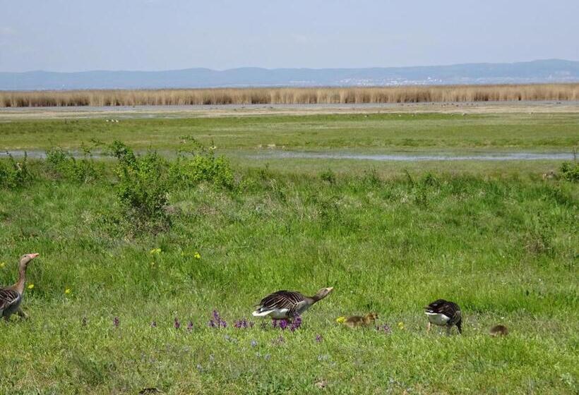 Номер Стандарт Вид на Сад, Weingut & Gästezimmer Nekowitsch