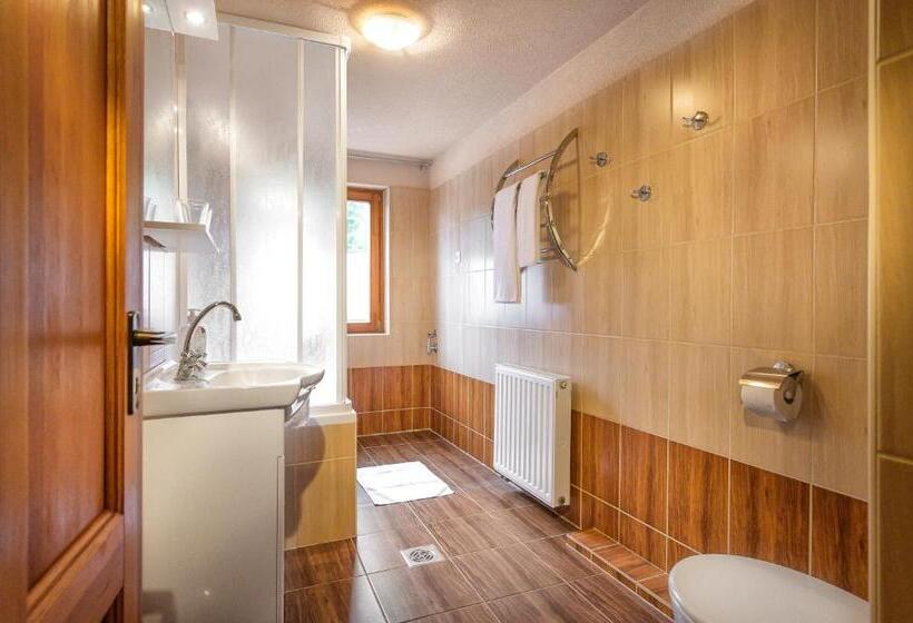 آپارتمان 1 خوابه با چشم‌انداز, Dorf Residenz