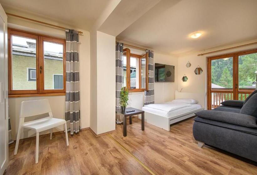 آپارتمان 1 خوابه با چشم‌انداز, Dorf Residenz