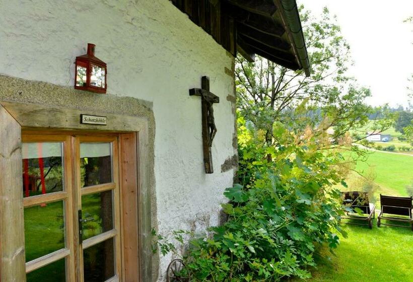 스탠다드 스튜디오 (테라스구비), Hofatelier Menacher