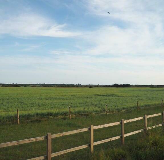 غرفة قياسية, Barnham Court Farm