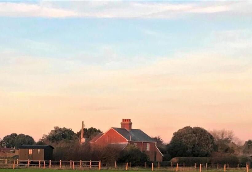 スタンダードルーム, Barnham Court Farm