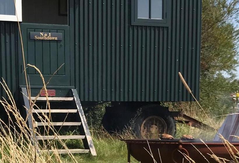 Номер Стандарт, Barnham Court Farm