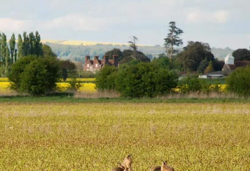 デラックスルーム, Barnham Court Farm