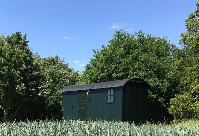 デラックスルーム, Barnham Court Farm
