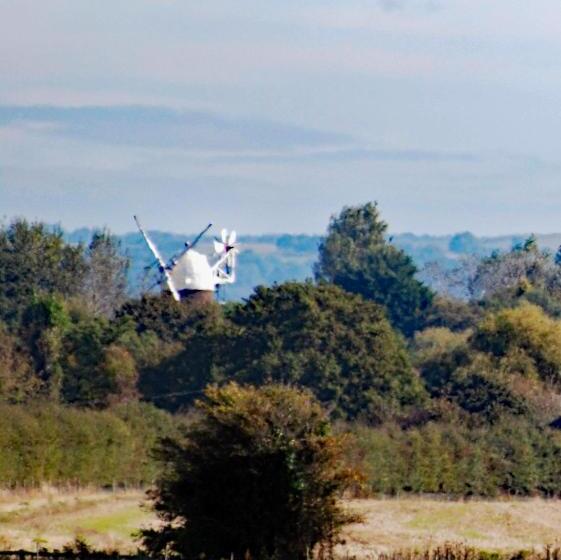 Номер Стандарт, Barnham Court Farm