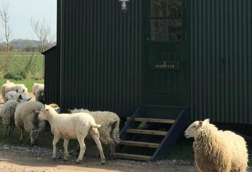 Номер Стандарт, Barnham Court Farm