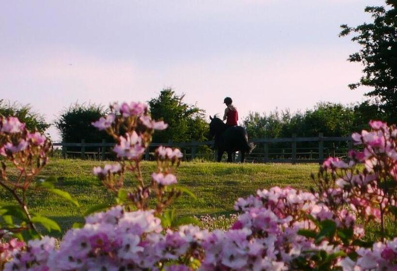 Дом 1 Спальня, Barnham Court Farm