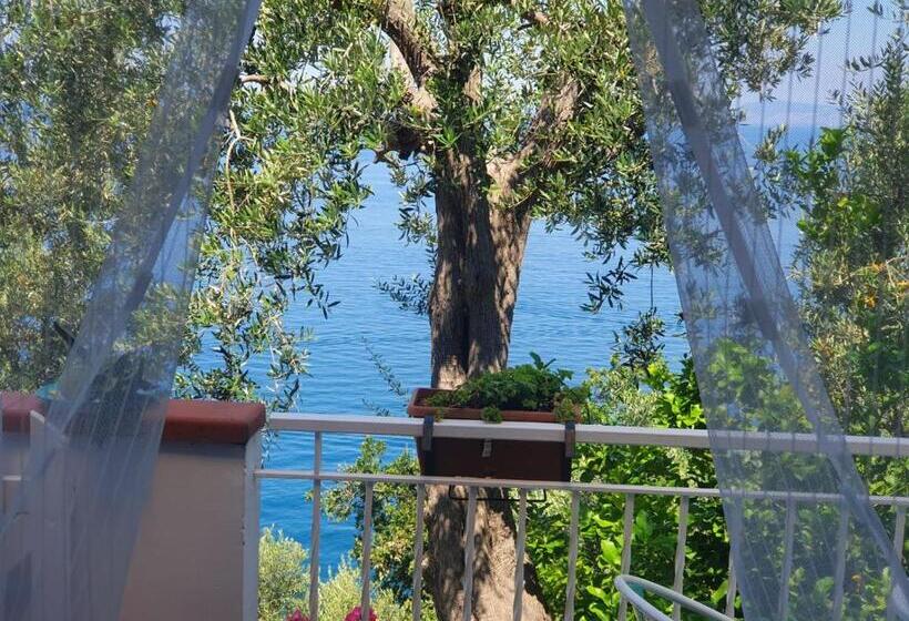 سوئیت جونیور خانوادگی, La Palombara B&b