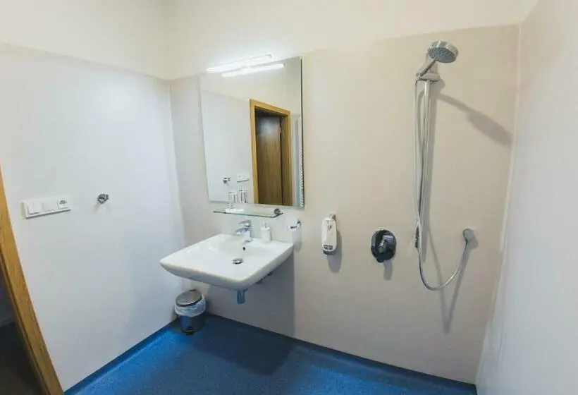 Habitación Estándar Individual Adaptada para personas con movilidad reducida, Forea