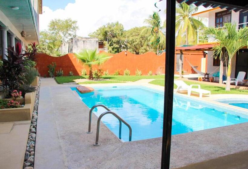 풀장 전망 스위트, Coccoloba Guest House