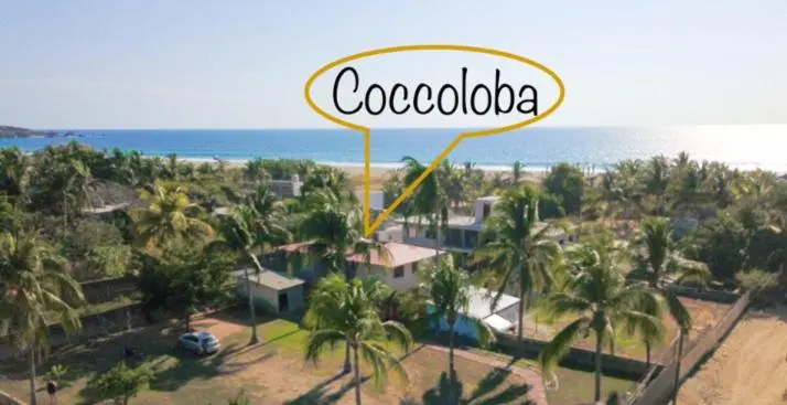 اتاق استاندارد با چشم‌انداز استخر, Coccoloba Guest House