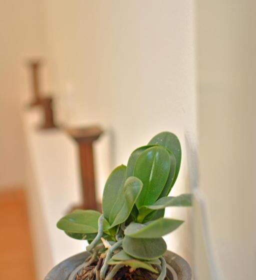 غرفة قياسية, Casa Ado