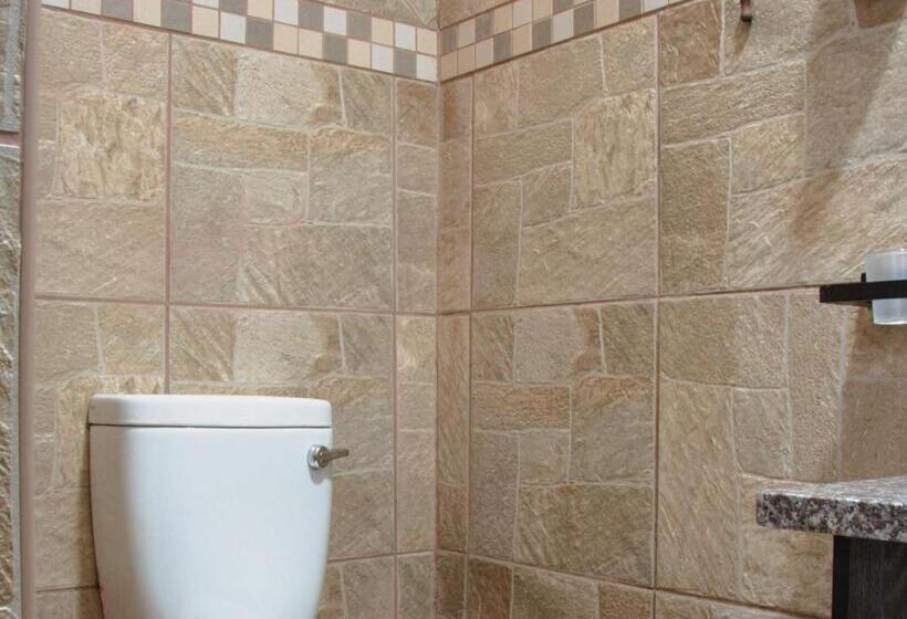Номер Deluxe, Palm Inn Guesthouse