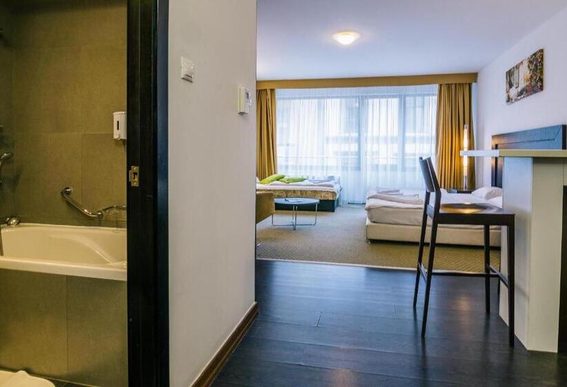 استودیوی استاندارد, City Gardens Hotel & Wellness