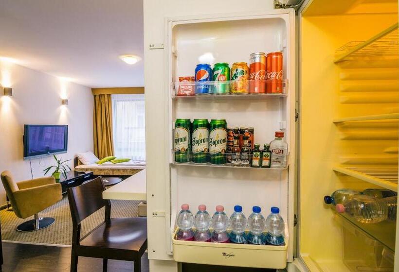 استودیوی استاندارد, City Gardens Hotel & Wellness