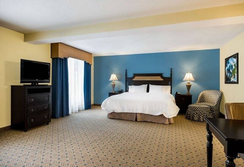 סטודיו סטנדרט מיטה זוגית, Hampton Inn Murrells Inlet/myrtle Beach Area