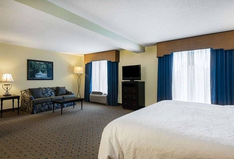 סטודיו סטנדרט מיטה זוגית, Hampton Inn Murrells Inlet/myrtle Beach Area
