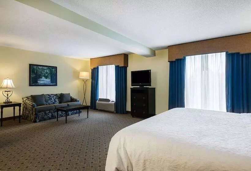 Standard-studio Parivuode, Hampton Inn Murrells Inlet/myrtle Beach Area