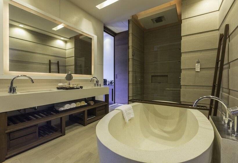 סוויטה עם בריכה, Cape Nidhra