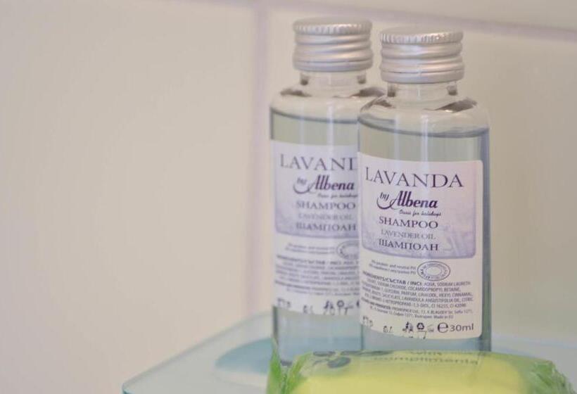 可看到停车场的标准间, Elitsa